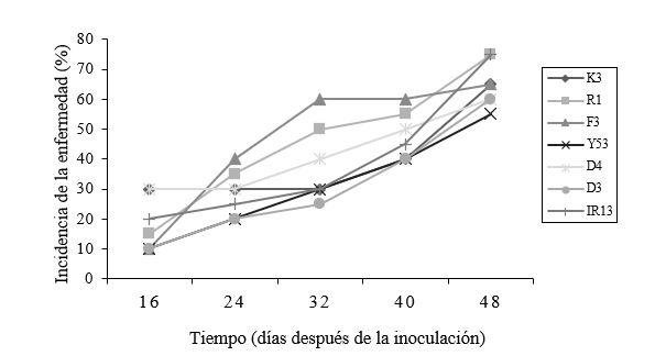 Gráfico de líneas



Descripción generada automáticamente