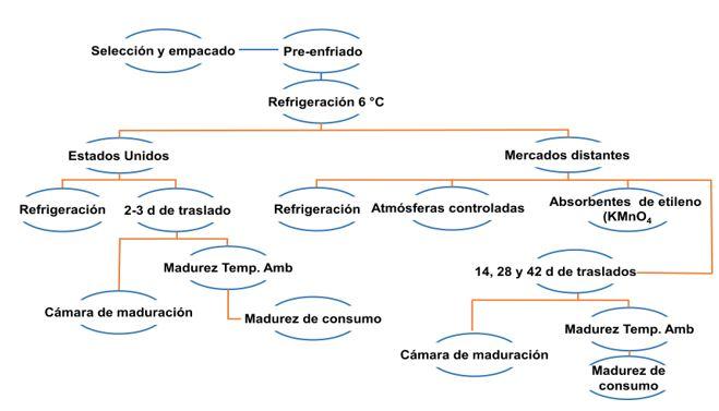 PDF] FENOLOGÍA DEL AGUACATE 'HASS' EN MICHOACÁN* PHENOLOGY OF 'HASS'  AVOCADO IN MICHOACÁN