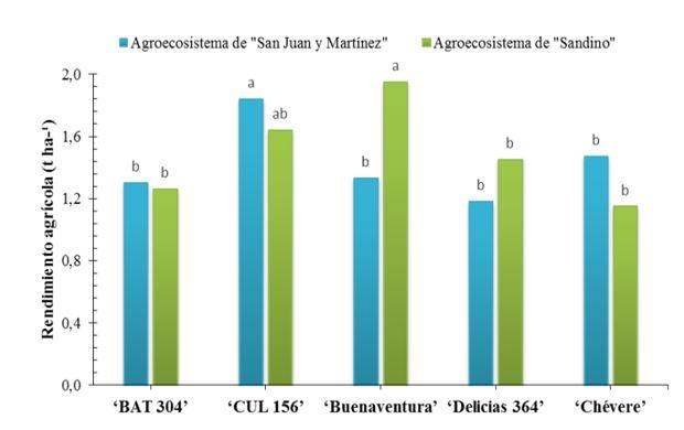 Gráfico, Gráfico de barras



Descripción generada automáticamente