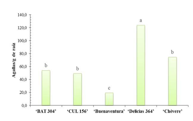 Gráfico, Gráfico de barras



Descripción generada automáticamente