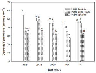 Gráfico, Gráfico de barras

Descripción generada automáticamente