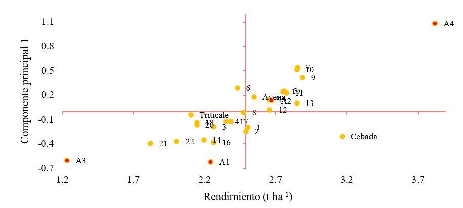 Gráfico



Descripción generada automáticamente con confianza baja