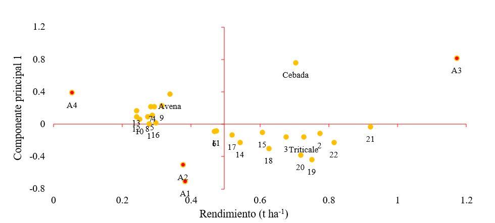 Gráfico, Gráfico de dispersión



Descripción generada automáticamente