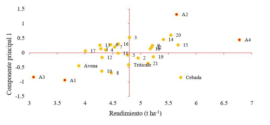 Gráfico



Descripción generada automáticamente con confianza media