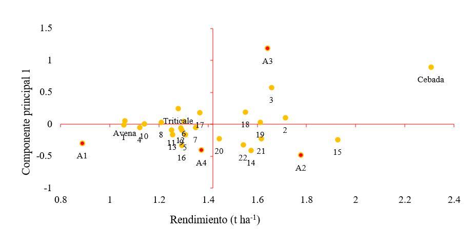 Gráfico, Gráfico de dispersión



Descripción generada automáticamente