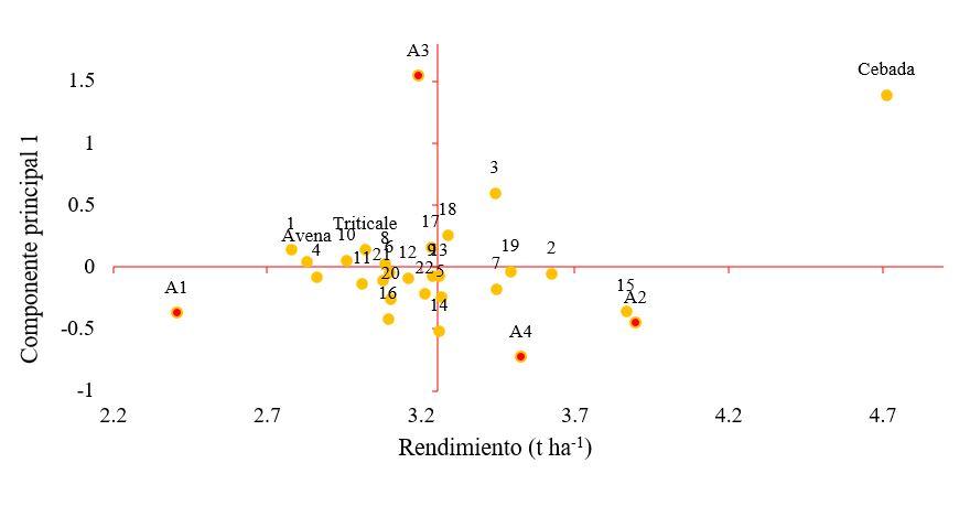 Gráfico, Gráfico de dispersión



Descripción generada automáticamente