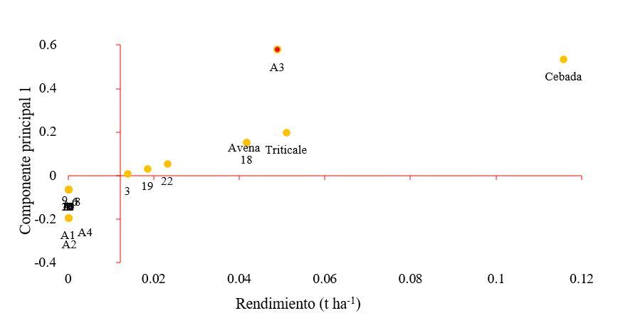 Gráfico, Gráfico de dispersión



Descripción generada automáticamente