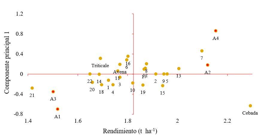 Gráfico, Gráfico de dispersión



Descripción generada automáticamente