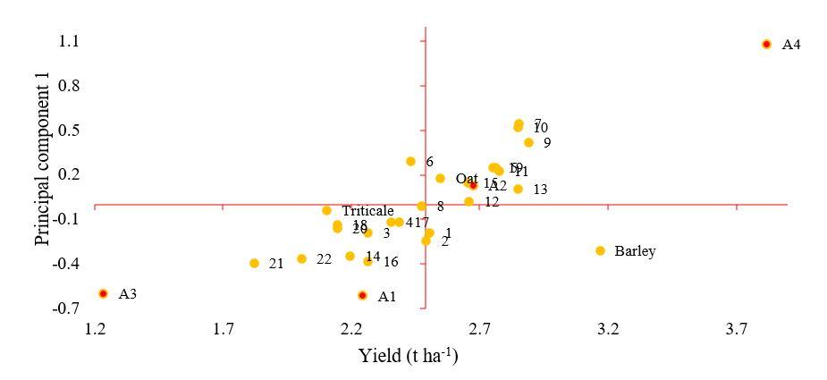 Gráfico, Gráfico de dispersión



Descripción generada automáticamente