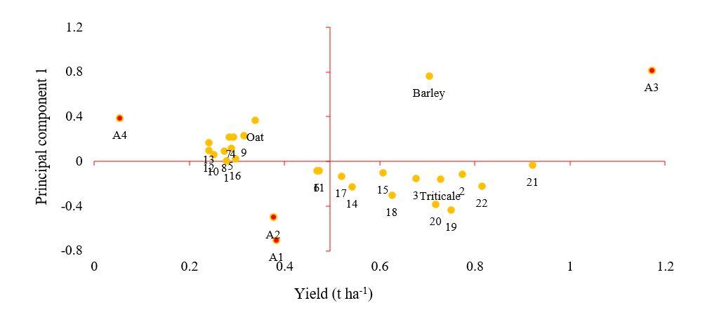 Gráfico, Gráfico de dispersión



Descripción generada automáticamente