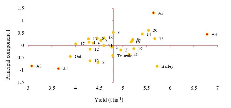 Gráfico, Gráfico de dispersión



Descripción generada automáticamente