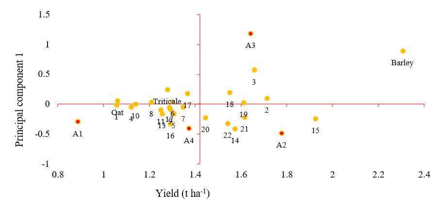 Gráfico, Gráfico de dispersión



Descripción generada automáticamente