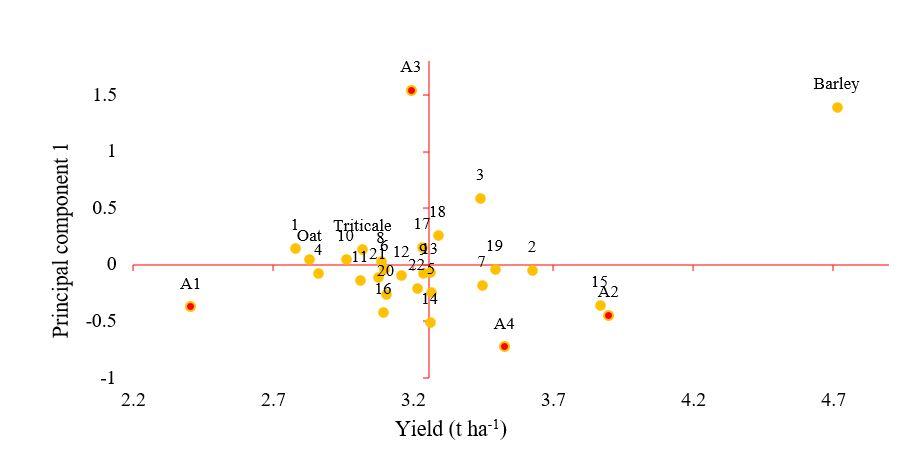 Gráfico de dispersión



Descripción generada automáticamente con confianza media