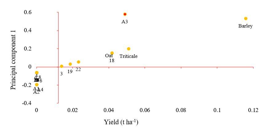 Gráfico, Gráfico de dispersión



Descripción generada automáticamente