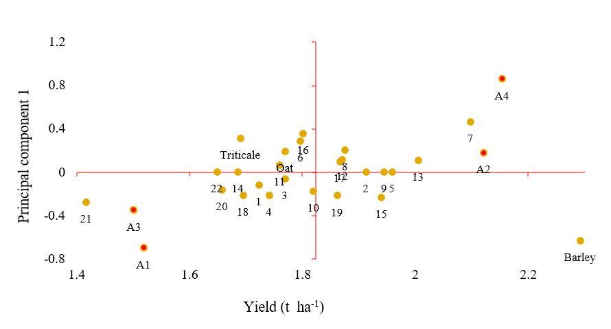 Gráfico, Gráfico de dispersión



Descripción generada automáticamente