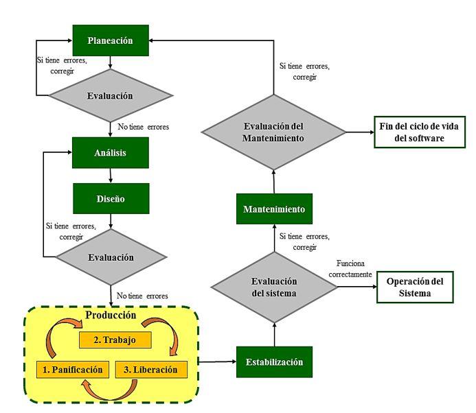 Computer system under the PADPEEM methodology to estimate aerial carbon in  coffee