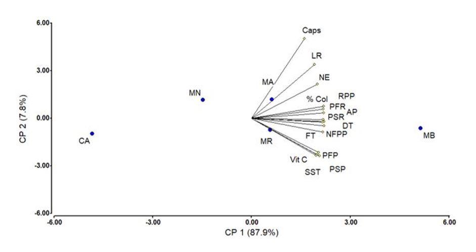 Gráfico



Descripción generada automáticamente