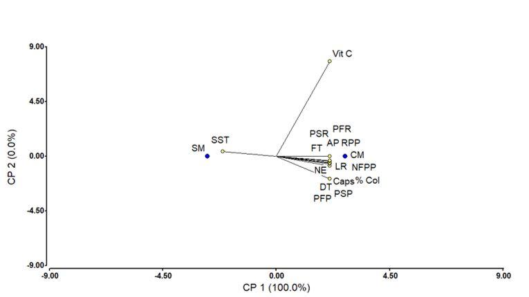 Gráfico



Descripción generada automáticamente