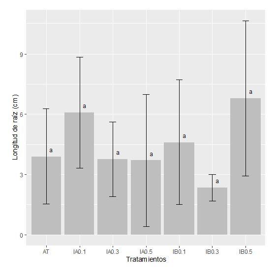 Gráfico, Gráfico de cajas y bigotes

Descripción generada automáticamente