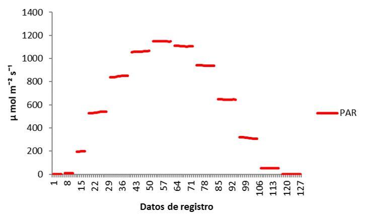 Gráfico

Descripción generada automáticamente