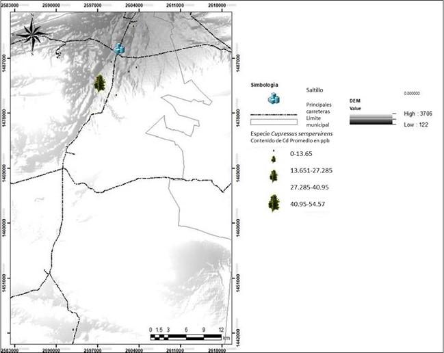 Mapa

Descripción generada automáticamente