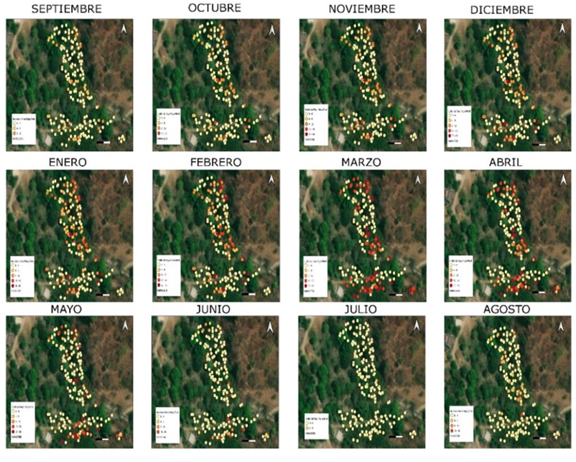 2007-0934-remexca-16-05-e3760-gf1.png