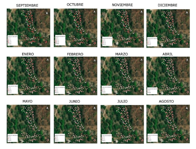 2007-0934-remexca-16-05-e3760-gf4.png