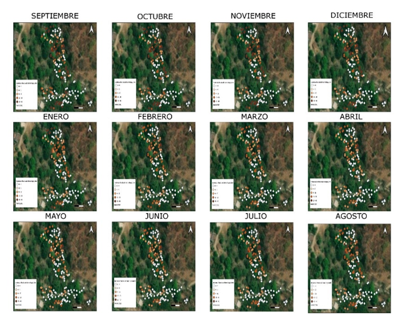 2007-0934-remexca-16-05-e3760-gf7.png