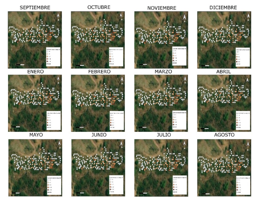 2007-0934-remexca-16-05-e3760-gf8.png