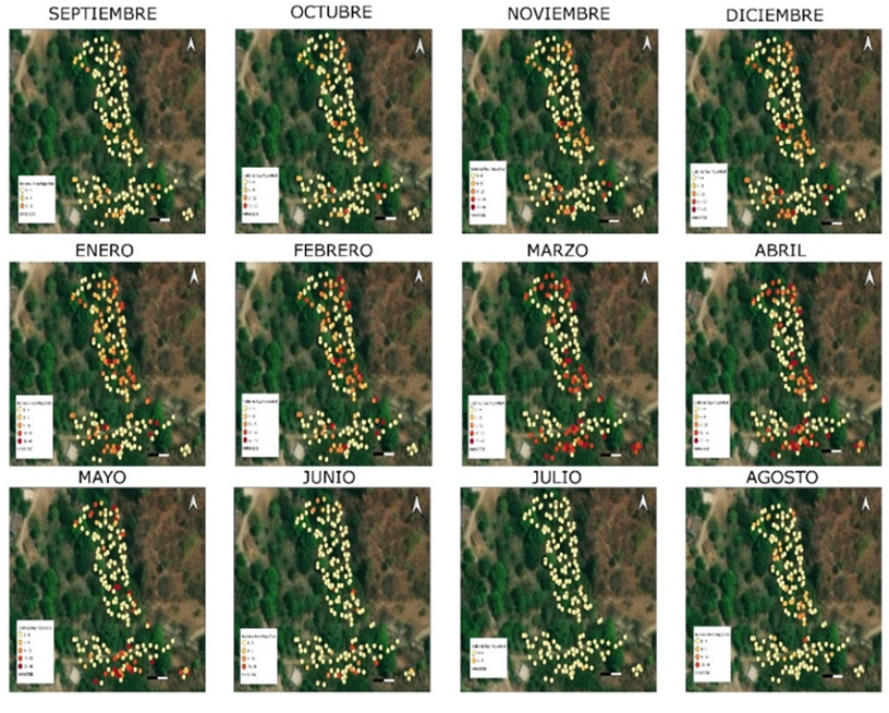 2007-0934-remexca-16-05-e3760-gf10.png