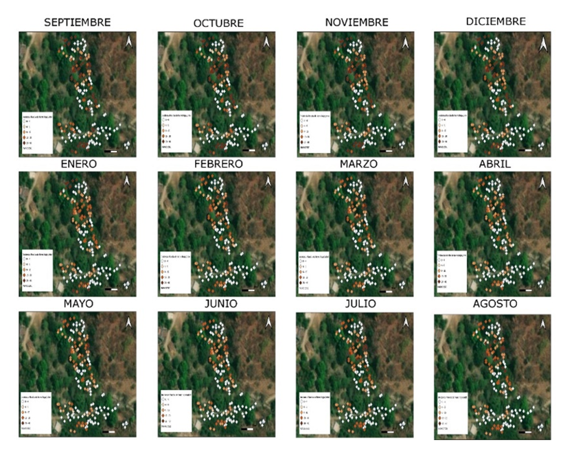 2007-0934-remexca-16-05-e3760-gf16.png