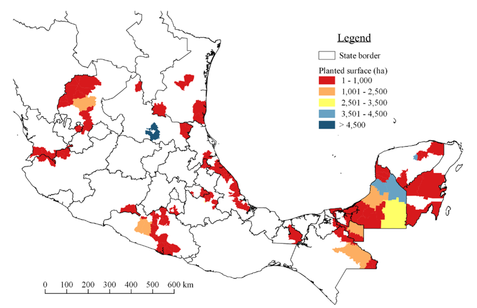 Gr&aacute;fico, Mapa

Descripci&oacute;n generada autom&aacute;ticamente con confianza media