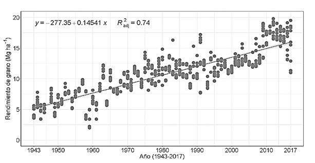 Gr&aacute;fico, Gr&aacute;fico de dispersi&oacute;n

Descripci&oacute;n generada autom&aacute;ticamente