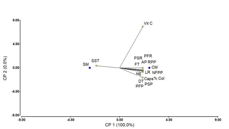 Gr&aacute;fico

Descripci&oacute;n generada autom&aacute;ticamente