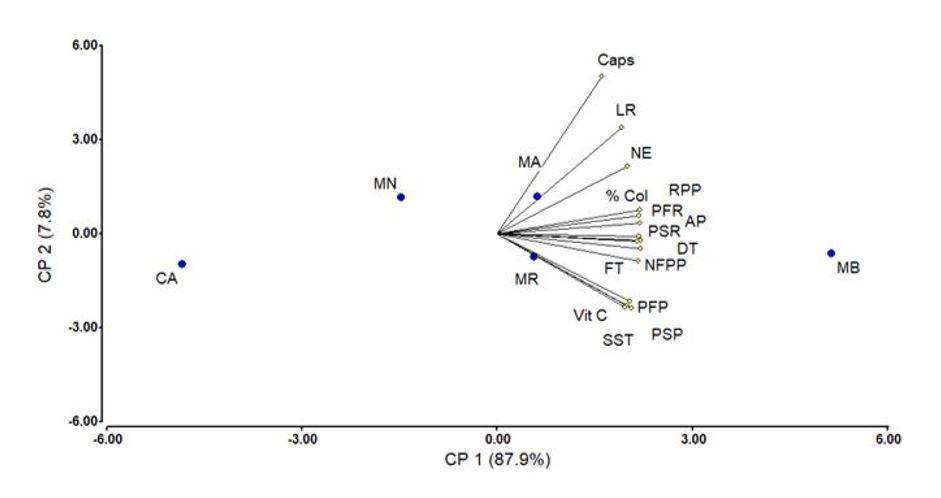 Gr&aacute;fico

Descripci&oacute;n generada autom&aacute;ticamente