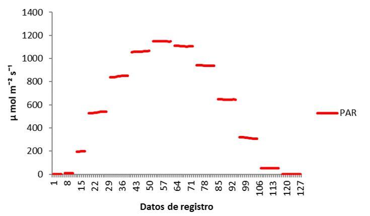 Gr&aacute;fico

Descripci&oacute;n generada autom&aacute;ticamente