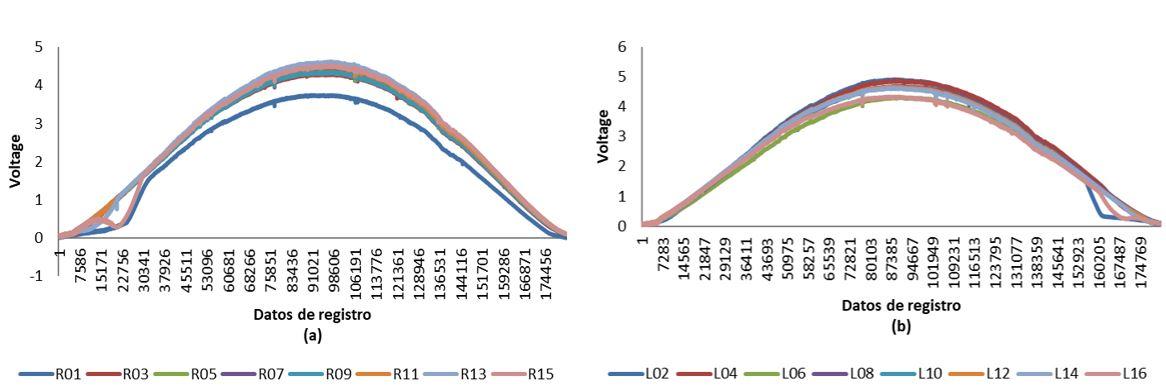 Gr&aacute;fico

Descripci&oacute;n generada autom&aacute;ticamente