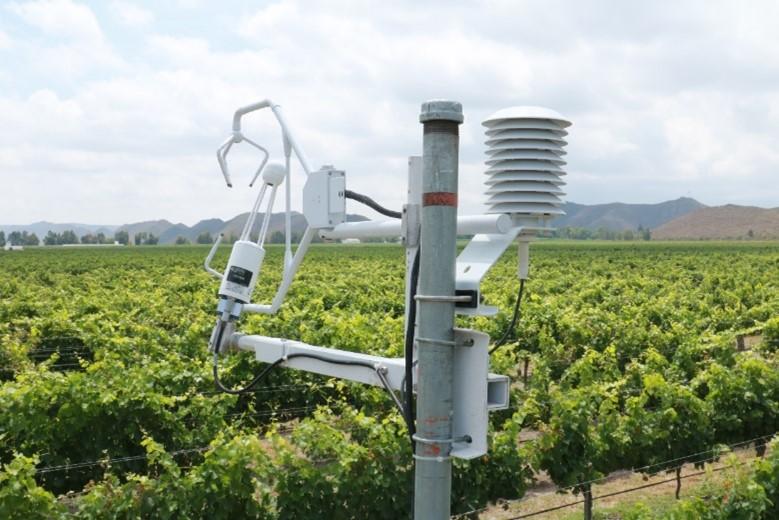 Un avi&oacute;n est&aacute; en el campo

Descripci&oacute;n generada autom&aacute;ticamente con confianza media