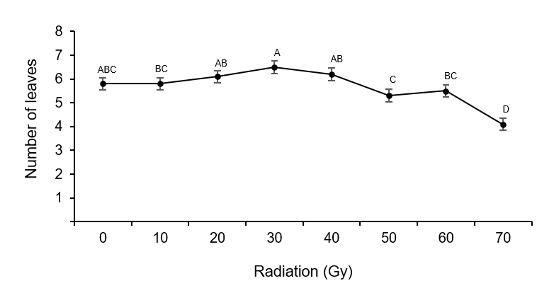 2007-0934-remexca-17-5-e4123-gf11.png