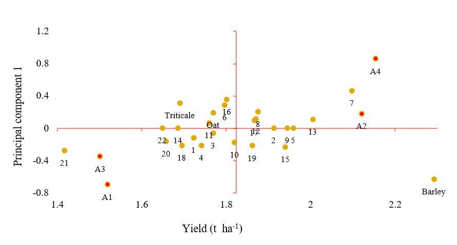 Gr&aacute;fico, Gr&aacute;fico de dispersi&oacute;n

Descripci&oacute;n generada autom&aacute;ticamente