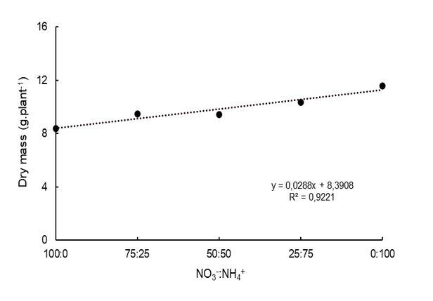Gr&aacute;fico

Descripci&oacute;n generada autom&aacute;ticamente