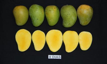 0 D&Iacute;AS-CS