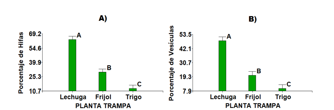2007-0934-remexca-17-1-3962-gf7.png