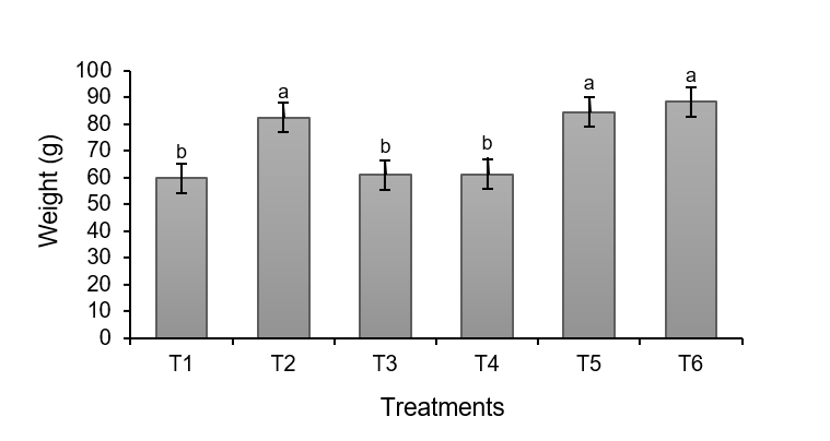 2007-0934-remexca-17-1-3973-gf3.png