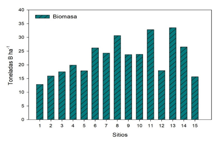 2007-0934-remexca-17-1-3999-gf2.png